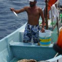 Manzanillo capital del mundo de la pesca illegal de Pez Vela