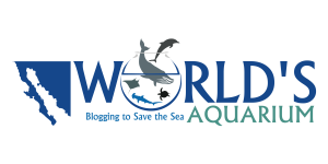 World's-Aquarium_300