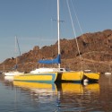 Pravnova a very fast 38 foot trimaran for sale: Our commission goes right to our non profit WorldsAquarium