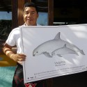 100 Vaquita Marinas are all that is left; Now its crunch time for Mexico