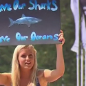 Austrailians stand up for sharks!